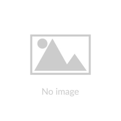 PARIS WORLD'S FAIR WALKING TOUR